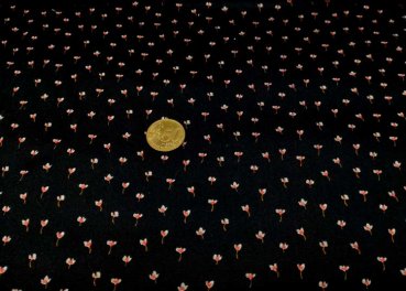 Mini flowers organic cotton poplin black fabric with flowers